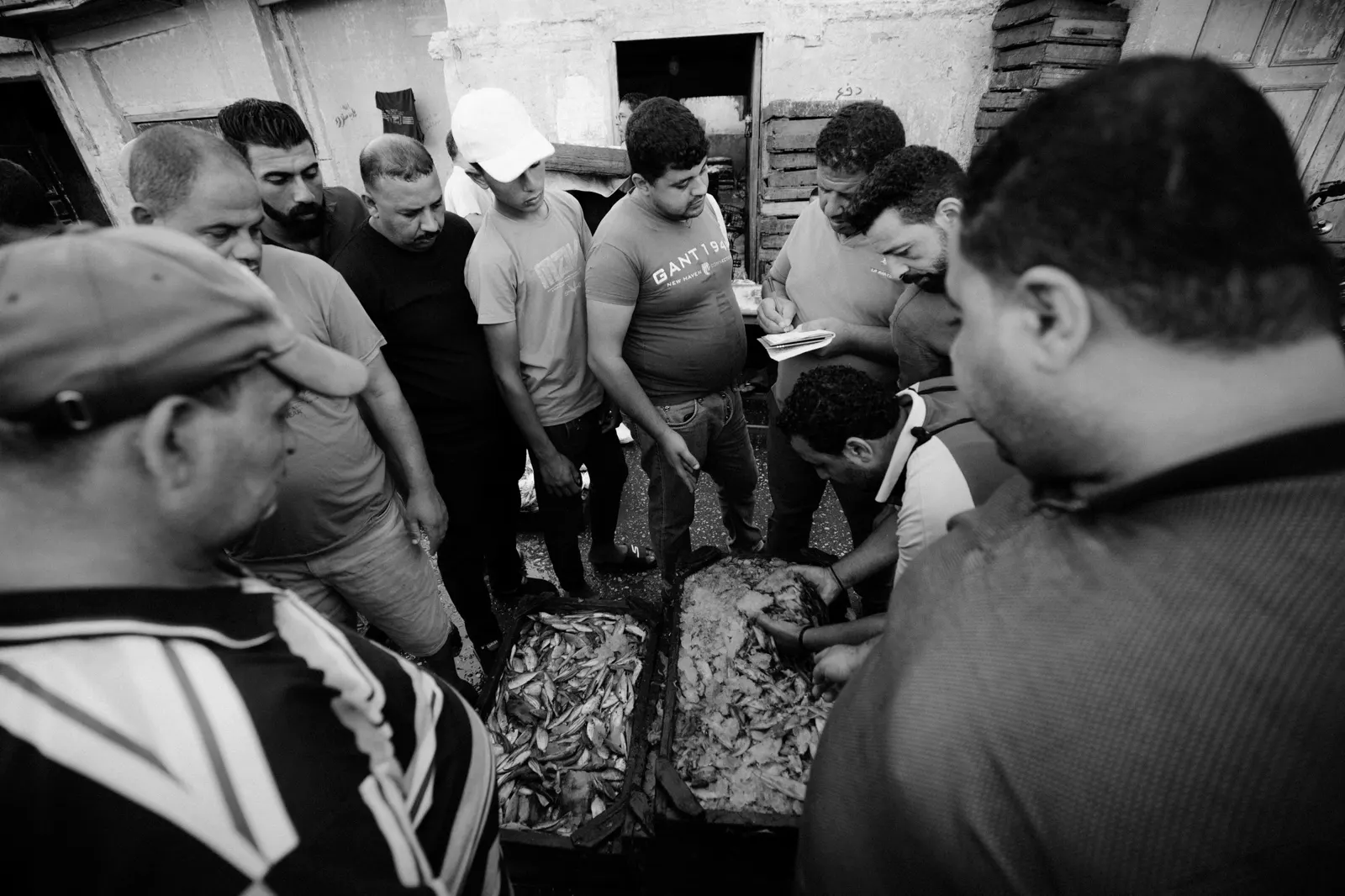 Compradores à volta das caixas de peixe num leilão, a preto e branco.